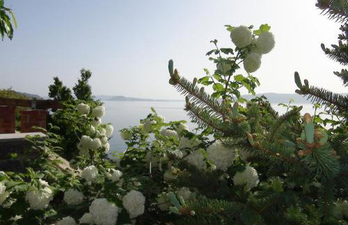 Villa Arca Adriatica - Foto 37