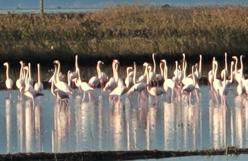 Llar de Laura - Foto 12