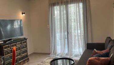 Olivia Luxury Apartment Palio Faliro - Foto 4