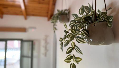 Xasteria apartment Ξαστεριά - Foto 5