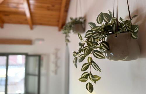 Xasteria apartment Ξαστεριά - Photo 5