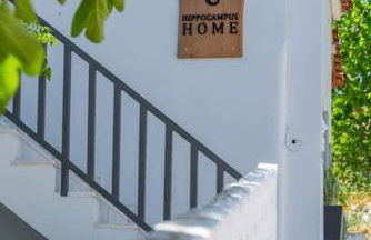 Hippocampus Home - Photo 35