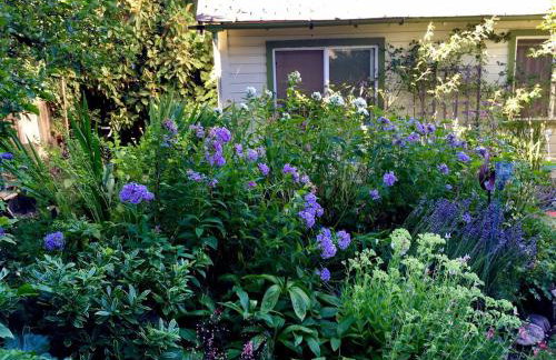 Charming Garden Cottage - Photo 13