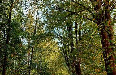 Strefa Relaksu-Piece - Foto 21