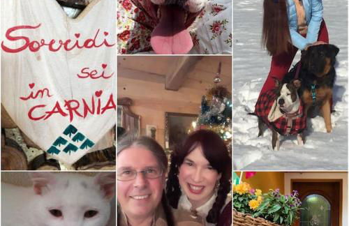 Holiday Guesthouse La Casina di Butzi pet friendly - Terme di Arta - Zoncolan - Foto 44