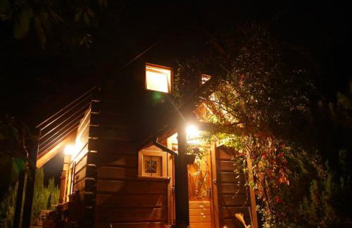 Jeżynowy Domek - Sulistrowice - Photo 25