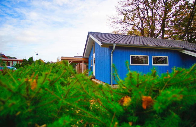 Ferienhaus Seeadler mit Sauna am Dummer See - Foto 15