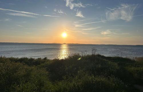 URLAUB mit HUND -Ferienwohnung "AhriBella"- - Foto 4