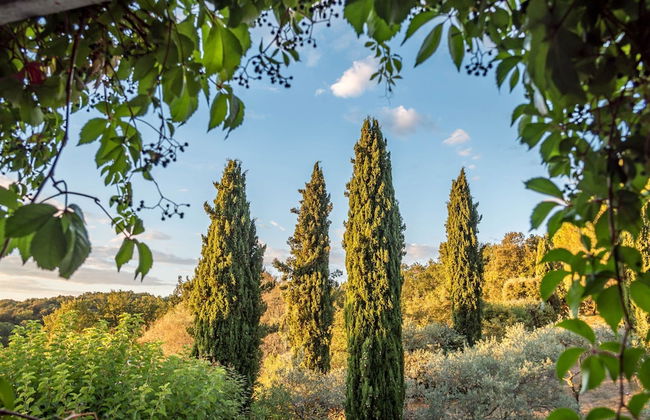 Sunlit Villa in Banne - Photo 14
