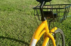 Morskie Sarbinowo - Photo 21