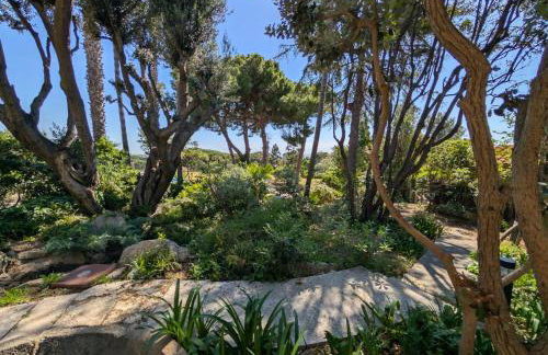 Castillo Meng - Foto 71