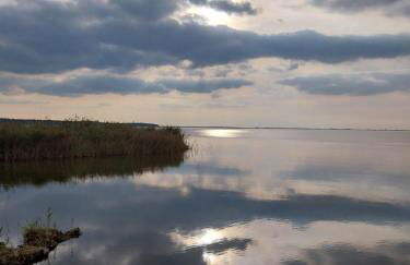 Ferienhaus Möwe - Foto 35