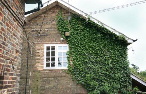 The Elephant Room - Photo 8