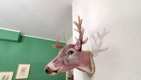 Casa Mia by Ca-Sa Check - Foto 3, Other