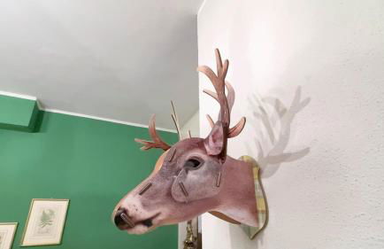 Casa Mia by Ca-Sa Check - Foto 3