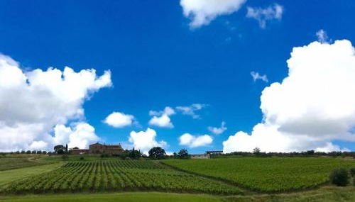 Agriturismo Podere del Vescovo - Foto 2