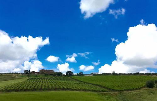 Agriturismo Podere del Vescovo - Foto 2