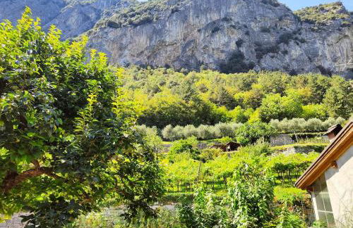 Santa Massenza Vineyard Escape - Foto 14