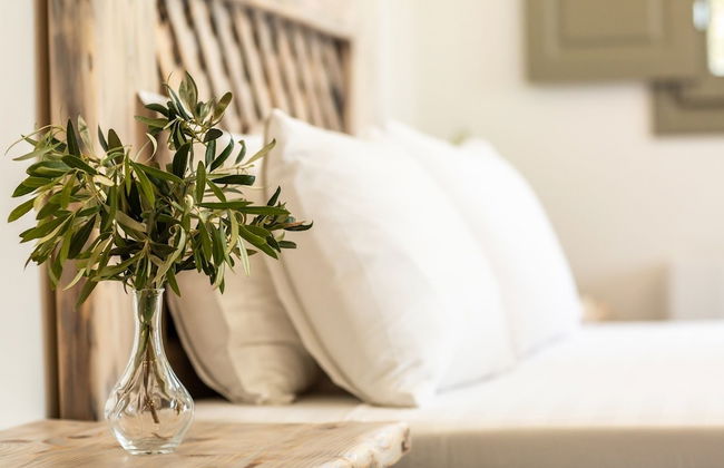 Elixirium Villa - Photo 10