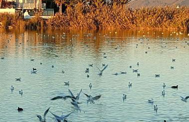 MI COSTA VERA-PLAYA 200m, dos balcones hermosa vista! - Foto 15