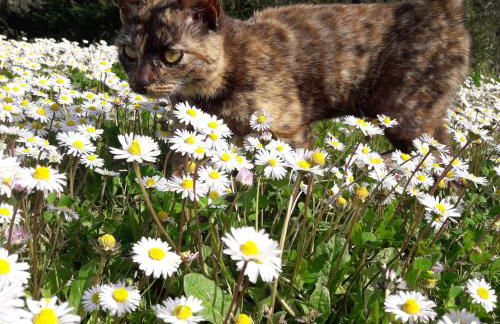 La casa di Eva - Foto 34