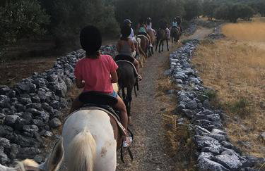 Nektarios Village House - Foto 38