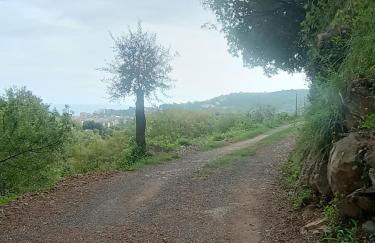 Casa Artigena - Foto 33