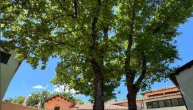 La Noce di Creta - Foto 2