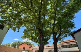 La Noce di Creta - Foto 2