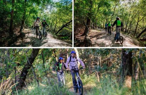 Le Gîte de Saint Pierre - Foto 22