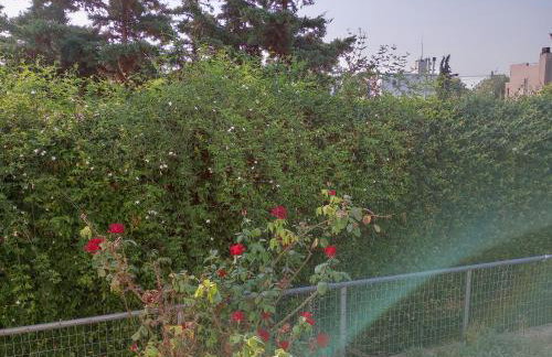 Green House Marathon - Greece - Foto 41