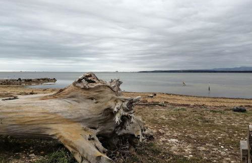 Le soleil d Eugènie appartement dans résidence avec Piscine commune près de Carcassonne - Foto 26