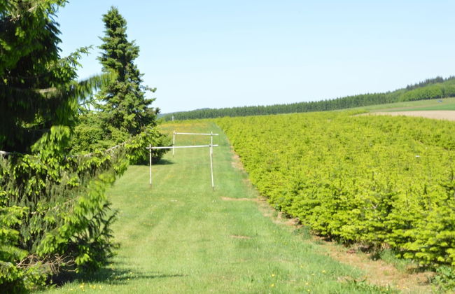 Family Apartment; Bouillon and Semois River - Foto 33