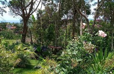 Macondo Chalés - Foto 78