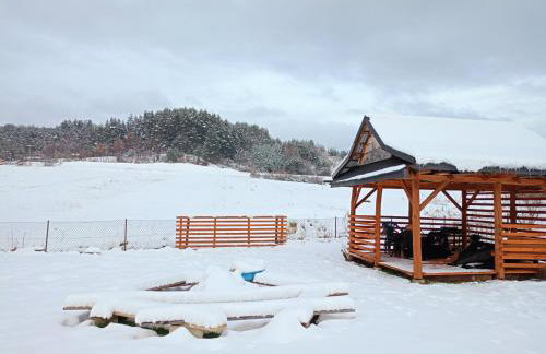 Domek u Gołąbków Bieszczady - Foto 45