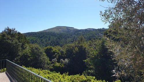 Quinta da Vinha Velha - Foto 5