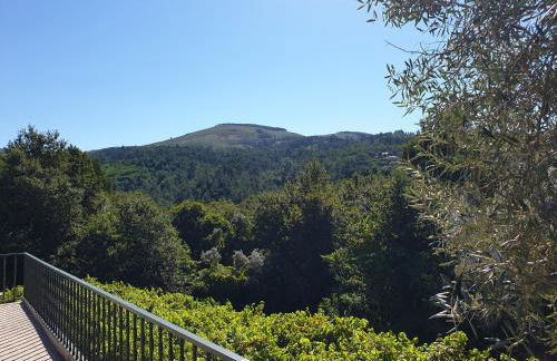 Quinta da Vinha Velha - Foto 5