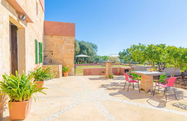 Can Potdir in Ariany - Foto 14