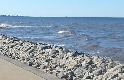 Meine Zeit - Foto 33