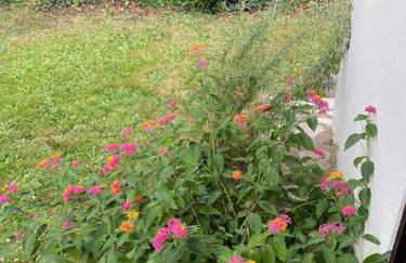 Lou Galipot Appartement avec jardin - Foto 11