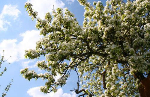 Ferienwohnung Endlich Ferien - Foto 34