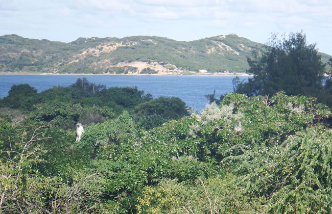 Self catering Mozambique - Photo 71