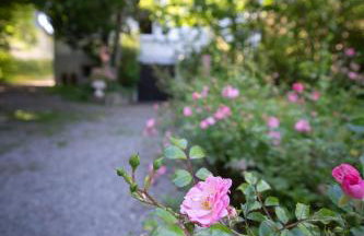 Secret Garden - Foto 29