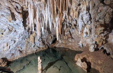 Agriturismo Caruggiu di via vecchia - Foto 62