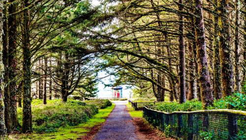 Hale Kaalawai Unit B - Foto 4