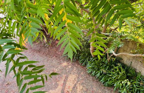 Maison proche centre Carantec - Foto 43