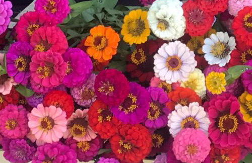 Cinija Cottage - Family Eco Retreat in Nature Park - Foto 46