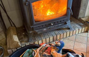 The Burrow, Oradour ST Genest - Foto 5