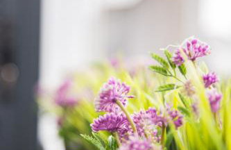 Quinta da Salada - Alojamento Local Douro - Foto 17