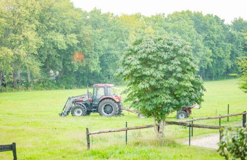 Ferienwohnung Eulennest, 35230 - Foto 34